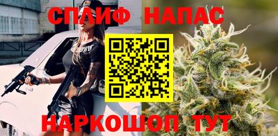 СК Канаш