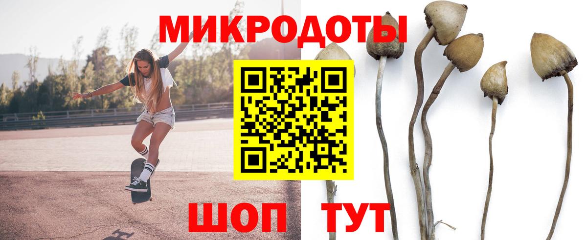 Галлюциногенные грибы Magic Shrooms Кувандык